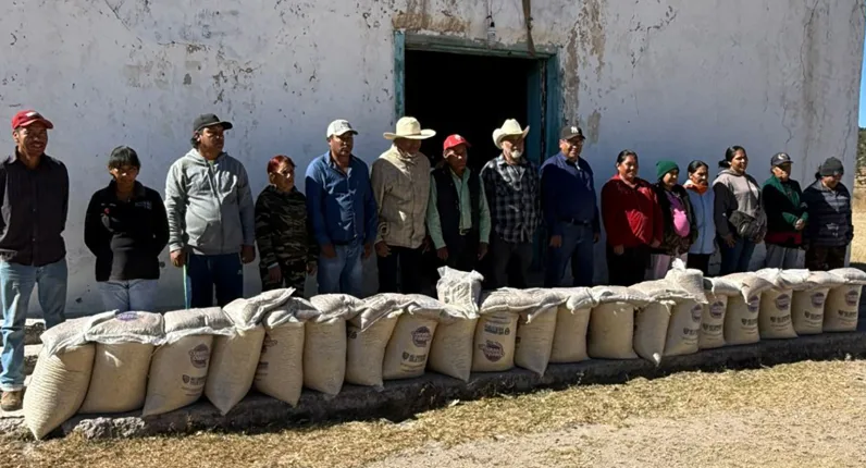 RESPALDA ESTADO A 240 FAMILIAS INDÍGENAS DE GUERRERO CON ENTREGA DE 4.8 TONELADAS DE MAÍZ Y FRIJOL