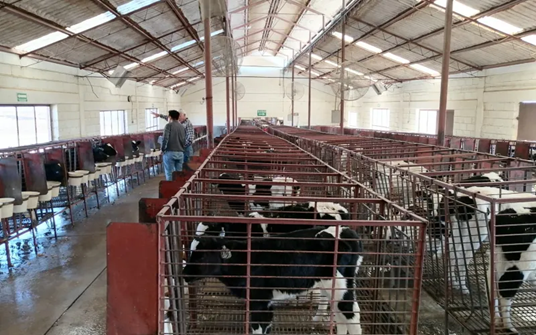 FORTALECE GOBIERNO DEL ESTADO LA SANIDAD AGROPECUARIA EN LA ENTIDAD