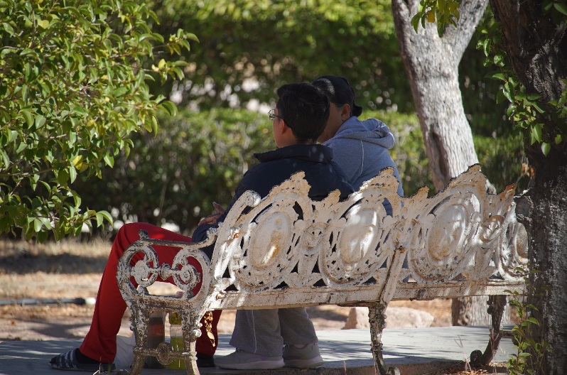 RECOMIENDA SECRETARÍA DE SALUD ADOPTAR HÁBITOS SALUDABLES ANTE RIESGO DE DEPRESIÓN EN TEMPORADA DECEMBRINA