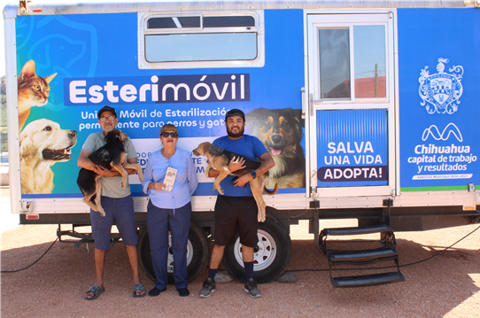 ESTERILIZÓ MUNICIPIO A MIL 920 PERROS Y GATOS DURANTE EL AÑO 2025