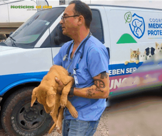 CONOCE CÓMO ATIENDE LA BRIGADA DE RESCATE ANIMAL DEL MUNICIPIO A PERROS Y GATOS DE LA CIUDAD