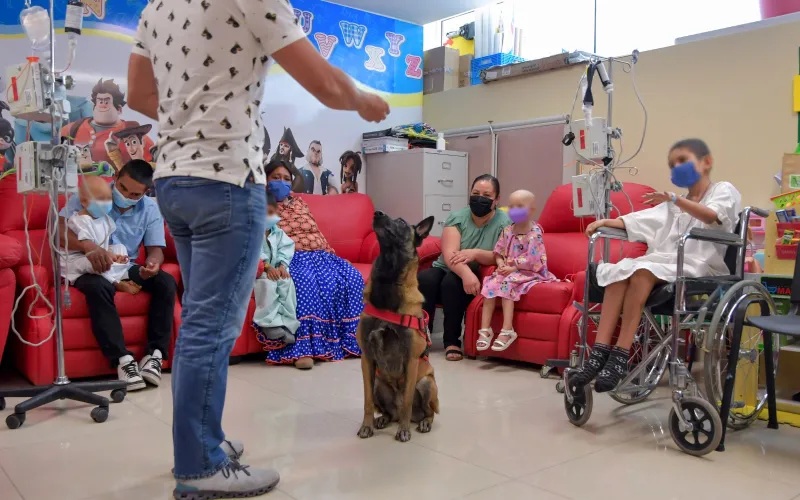 RECIBEN PACIENTES PEDIÁTRICOS CON ENFERMEDADES CRÓNICAS ATENCIÓN INTEGRAL EN 4 ÁREAS ESPECÍFICAS