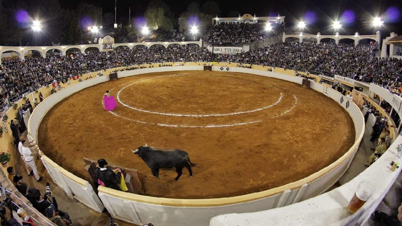 OTORGAN AMPARO Y SUSPENDEN CORRIDAS DE TOROS EN EL MUNICIPIO DE QUERÉTARO.