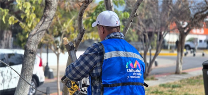 RECUERDA MUNICIPIO QUE QUEDA UN MES DE LA TEMPORADA DE PODA