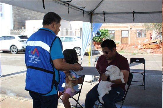 INVITA MUNICIPIO A JORNADA GRATUITA DE VACUNACIÓN PARA MASCOTAS EN LA ZONA ROMANZZA