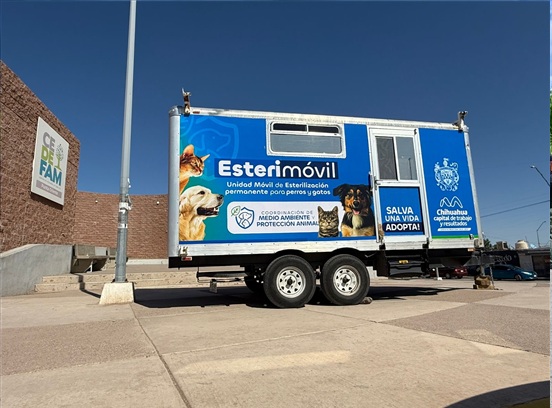 ESTERILIZAR MEJORA LA CALIDAD DE VIDA DE PERROS Y GATOS; OFRECE MUNICIPIO DICHO SERVICIO