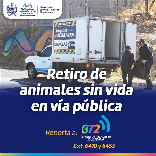 OFRECE GOBIERNO MUNICIPAL SERVICIO DE RETIRO DE ANIMALES SIN VIDA EN LA VÍA PÚBLICA
