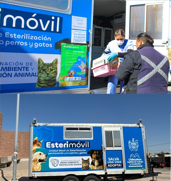 ESTARÁ ESTERIMÓVIL DEL MUNICIPIO EN VALLE DORADO CON SERVICIOS GRATUITOS PARA PERROS Y GATOS