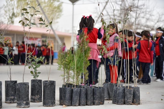ENTREGA GOBIERNO DEL ESTADO 650 ÁRBOLES A 32 PRIMARIAS DEL SURORIENTE DE CIUDAD JUÁREZ