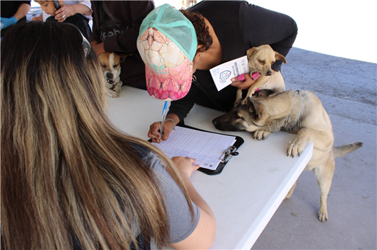 APROVECHAN SERVICIOS GRATUITOS DEL MUNICIPIO PARA MASCOTAS EN JARDINES DEL SOL