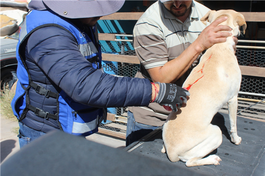 CONOCE DÓNDE ESTARÁ EL PROGRAMA DE SALUD DEL MUNICIPIO EL “PATIO DE MI CASA”