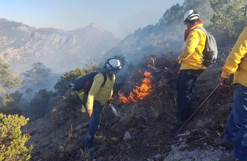 LLAMA SDR A REFORZAR MEDIDAS DE PREVENCIÓN CONTRA INCENDIOS FORESTALES