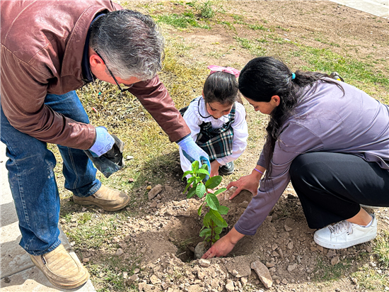 REFORESTA MUNICIPIO EN TRES ZONAS DE LA CIUDAD PARA CUIDAR EL MEDIO AMBIENTE