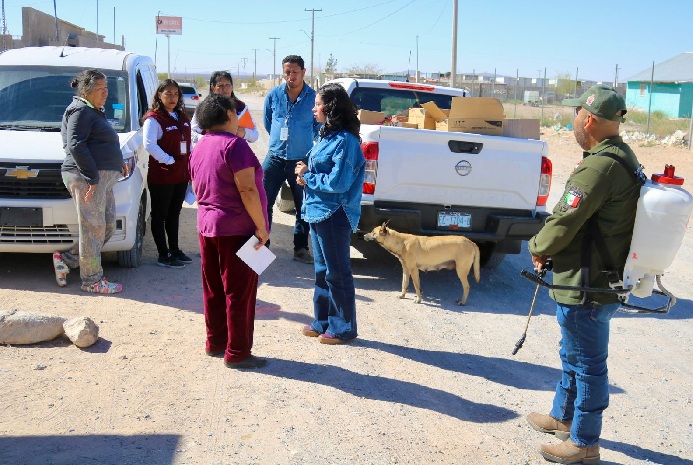 REFUERZAN JAEL ARGÜELLES Y ECOLOGÍA FUMIGACIÓN EN EL KILÓMETRO 29 ANTE RIESGO DE RICKETTSIOSIS