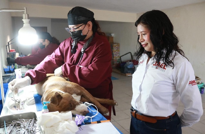 ENCABEZA DIPUTADA JAEL ARGÜELLES JORNADA GRATUITA DE ESTERILIZACIÓN EN SU CASA DE ENLACE