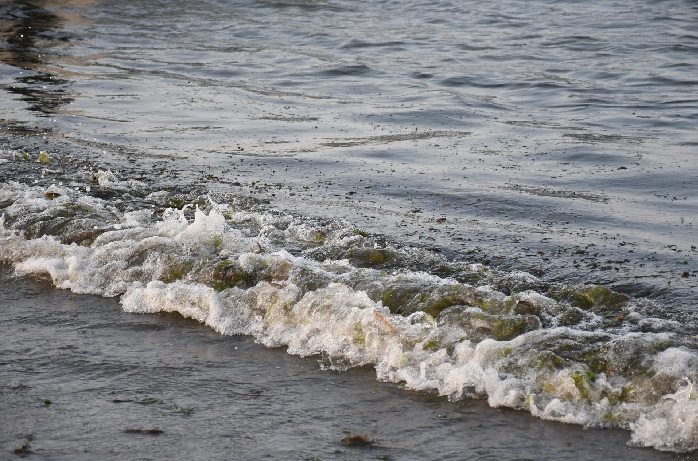 EL GOBIERNO FEDERAL DETALLÓ LAS ACCIONES QUE LLEVAN A CABO PARA ATENDER EL DERRAME DE HIDROCARBURO EN EL GOLFO DE MÉXICO