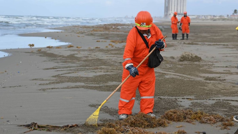 LIMPIEZA EN PLAYAS DE VERACRUZ. 
