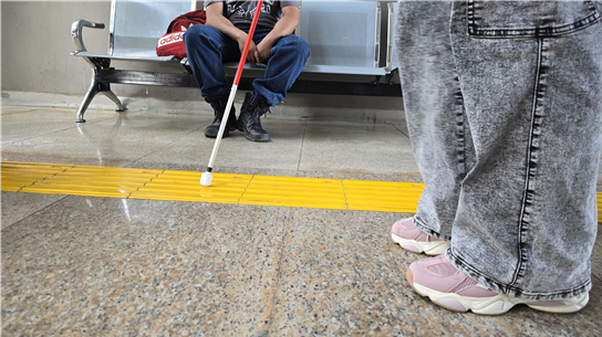 MEJOR ATENCIÓN A PERSONAS CON DISCAPACIDAD: MUNICIPIO SENSIBILIZA A PERSONAL DE BOWÍ