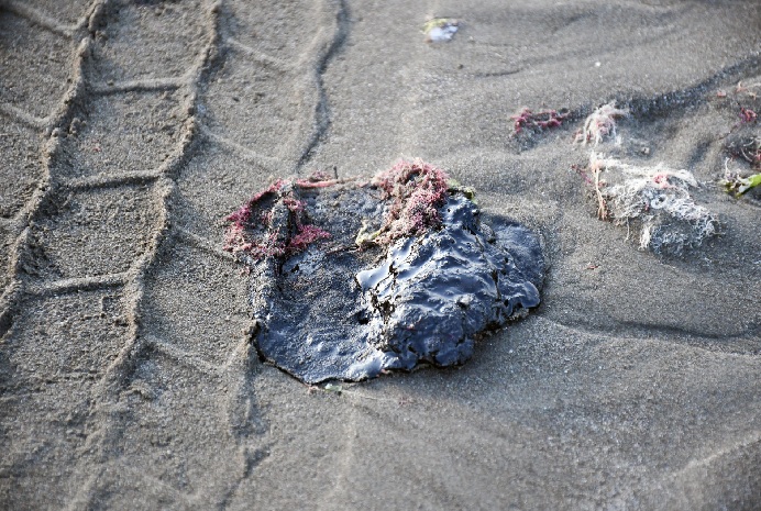 (PEMEX) INFORMÓ ESTE MARTES DE LA DETECCIÓN DE RESIDUOS DE ACEITE EN CUERPOS DE AGUA DEL ESTADO DE VERACRUZ (SURESTE), 