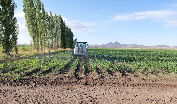 ABRE SDR CONVOCATORIA PARA APOYOS CON BIOINSUMOS Y MEJORADORES DE SUELO