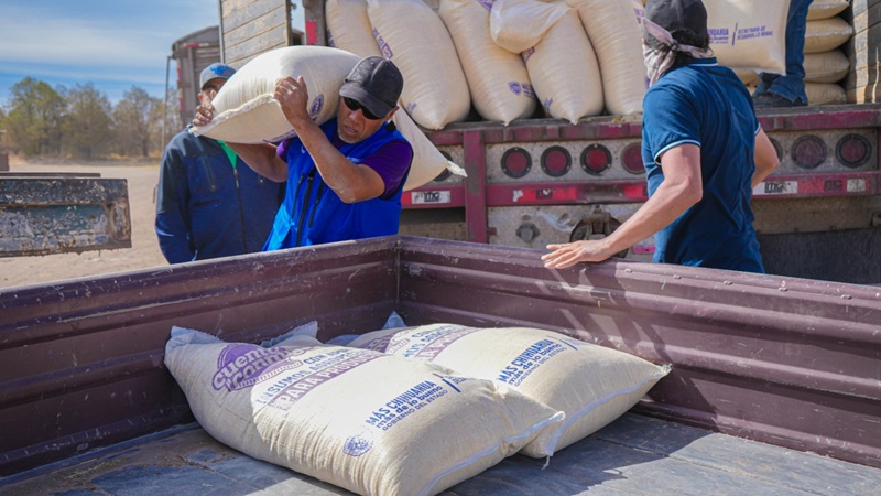 ABRE SDR APOYO PARA ALIMENTO BALANCEADO DE AVES DE POSTURA