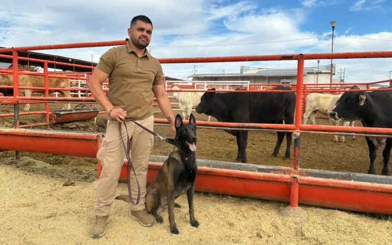 SE SUMAN BINOMIOS CANINOS AL BLINDAJE CONTRA EL GBG EN CHIHUAHUA