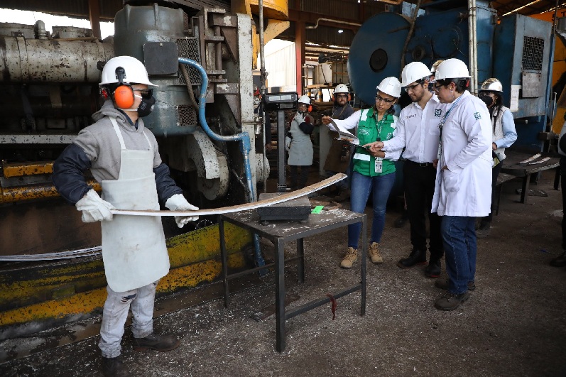 SEGURIDAD Y SALUD EN EL TRABAJO SON DERECHOS FUNDAMENTALES QUE EL IMSS GARANTIZA A TRAVÉS DE ELSSA: EMBAJADORA DE LA ESTRATEGIA