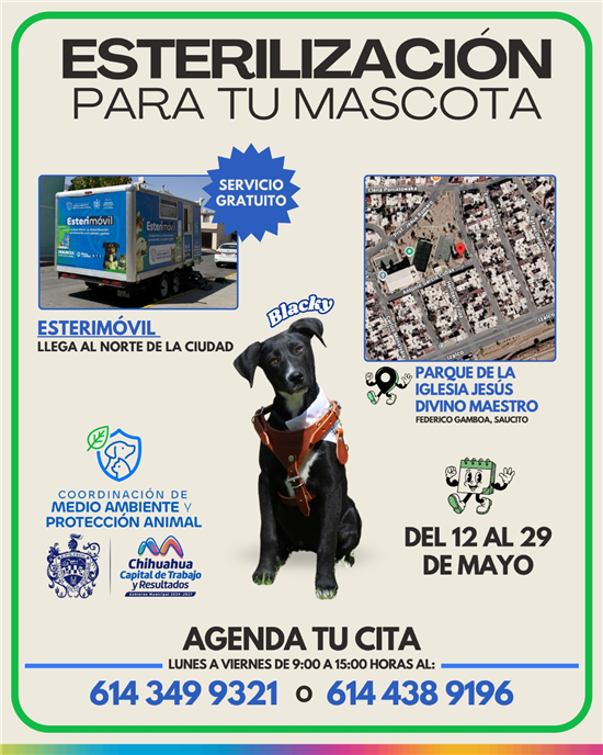 ESTERIMÓVIL DEL MUNICIPIO LLEGA A COLONIA SAUCITO; HAY ESTERILIZACIONES GRATUITAS PARA MASCOTAS