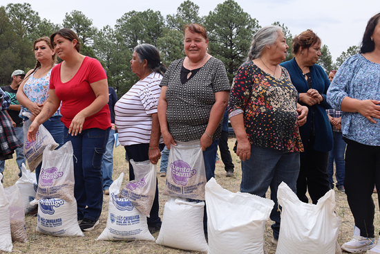 FORTALECE SPYCI PRODUCCIÓN ALIMENTARIA Y ACTIVIDADES AGRÍCOLAS EN CINCO COMUNIDADES DE MADERA
