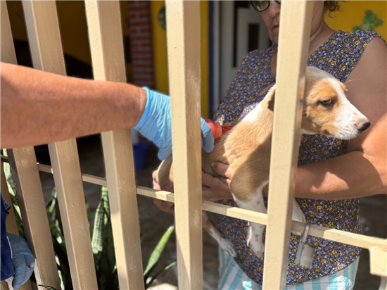 CONTINÚA MUNICIPIO ACCIONES PREVENTIVAS CONTRA LA RICKETTSIA: “PATIO DE MI CASA” ESTARÁ EN CUATRO COLONIAS DEL NORTE DE LA CIUDAD