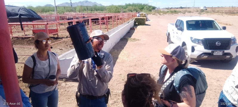 REUBICAN TRAMPAS COMO ESTRATEGIA DE BLINDAJE CONTRA EL GUSANO BARRENADOR DEL GANADO EN CHIHUAHUA