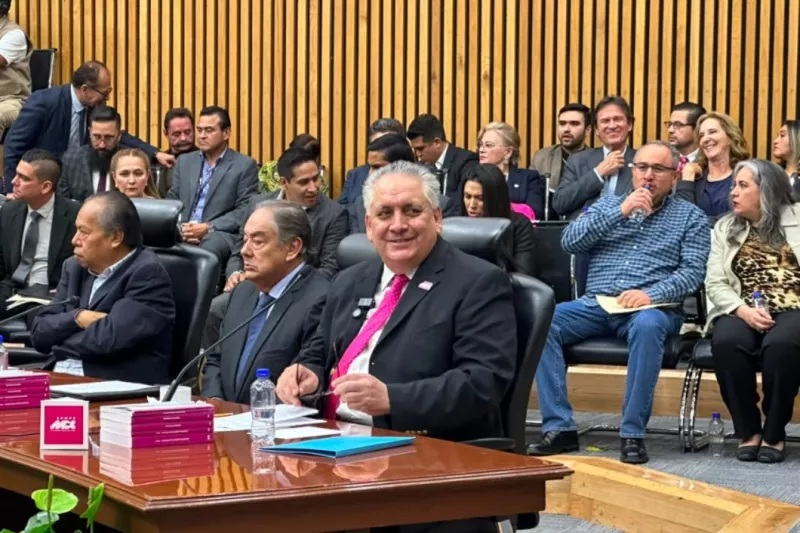 SOMOS MX, ORIGINADO EN LA LLAMADA ''MAREA ROSA'', SE CONVIRTIÓ EN PARTIDO POLÍTICO EN JUNIO DE ESTE 2026.