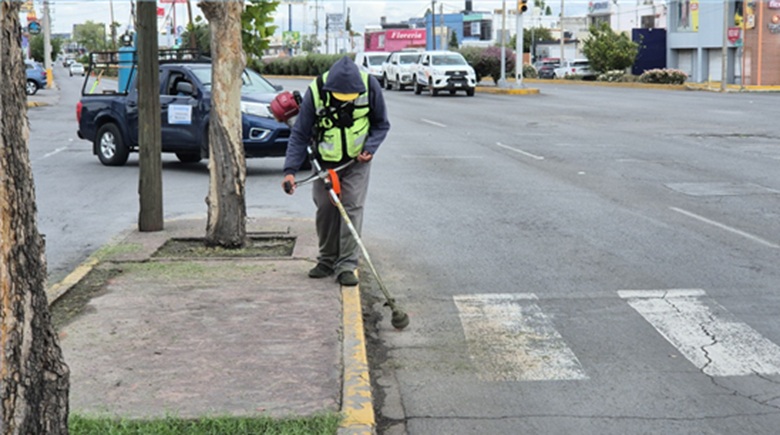 REFUERZA MUNICIPIO EL CORTE Y RE-TIRO DE MALEZA EN VIALIDADES DEL NORTE TRAS RECIENTES LLUVIAS