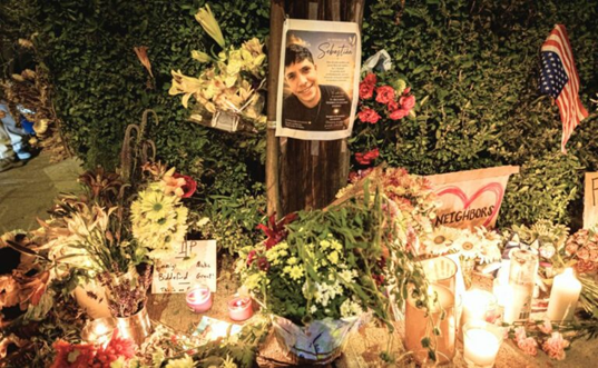 EN EL FOCO EL USO DE LA FUERZA EN OPERATIVOS ICE POR LA MUERTE DE DOS MIGRANTES LATINOAMERICANOS