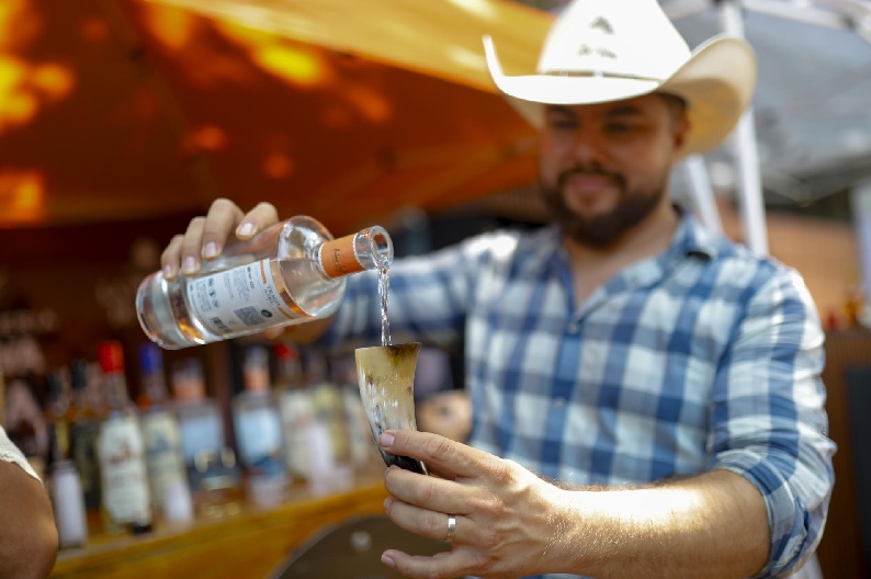 DICEN TEQUILEROS QUE LA CAÍDA DE PRECIOS DE AGAVE DEJA CAMPOS ABANDONADOS Y PLAGAS
