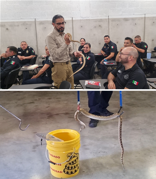 REFUERZAN POLICÍAS Y BOMBEROS CONOCIMIENTOS Y PROTOCOLOS POR MORDEDURAS Y PICADURAS DE ANIMALES PONZOÑOSOS