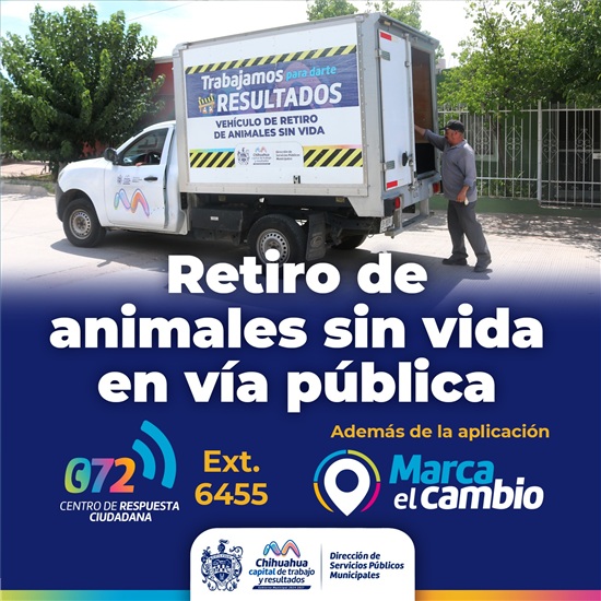 SI VES UN ANIMAL SIN VIDA EN LA CALLE, REPÓRTALO AL MUNICIPIO PARA RETIRARLO