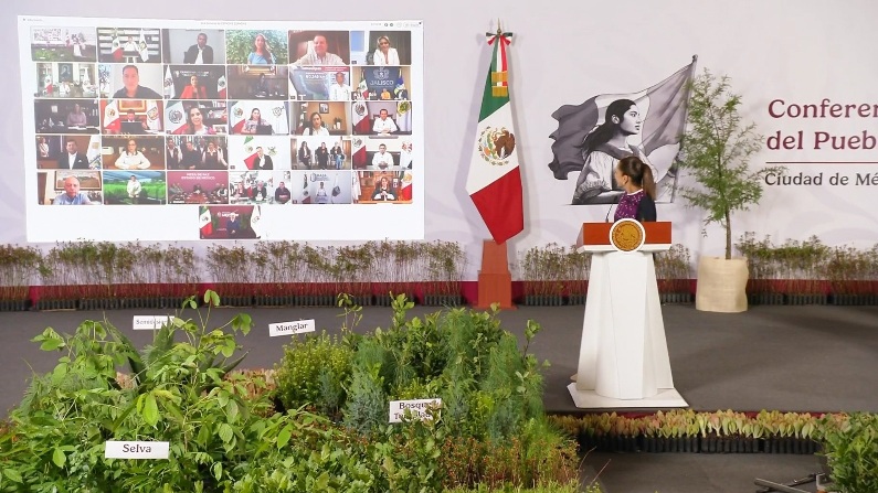 CHIHUAHUA PARTICIPARÁ EN JORNADA NACIONAL DE REFORESTACIÓN 2026