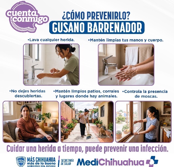 LLAMA SECRETARÍA DE SALUD A REFORZAR MEDIDAS PREVENTIVAS CONTRA EL GUSANO BARRENADOR DEL GANADO