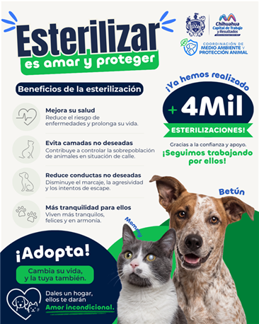 IMPULSA MUNICIPIO LA ESTERILIZACIÓN COMO ESTRATEGIA PARA PREVENIR LA SOBREPOBLACIÓN ANIMAL