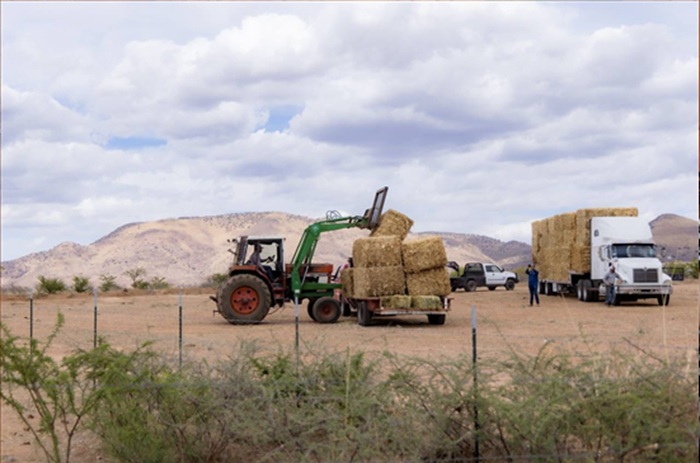 CHIHUAHUA CAPITAL TAMBIÉN ES CAMPO: RESPALDA MARCO BONILLA A PRODUCTORES Y COMUNIDADES RURALES