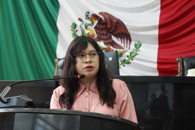 PAN BLOQUEA PENSIÓN UNIVERSAL PARA PERSONAS CON DISCAPACIDAD: ARGÜELLES