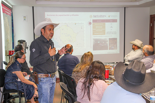 REVISAN EN SESIÓN DEL GEESA AVANCES DE LA ESTRATEGIA PARA LA ERRADICACIÓN DEL GUSANO BARRENADOR DEL GANADO
