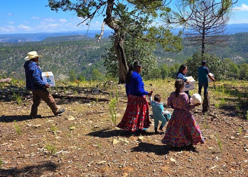 LLEVA ESTADO NUTRICHIHUAHUA A COMUNIDADES DE DIFÍCIL ACCESO EN LA SIERRA TARAHUMARA