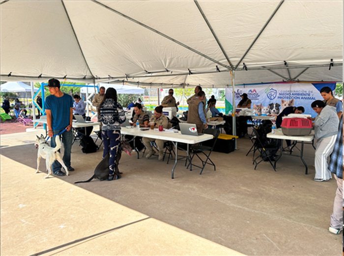 BRINDA MUNICIPIO MÁS DE 940 SERVICIOS GRATUITOS PARA PERROS Y GATOS EN VISTAS CERRO GRANDE