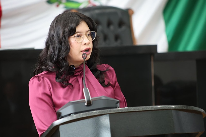 JAEL ARGÜELLES EXHIBE VICIOS DE REFORMA ELECTORAL: 