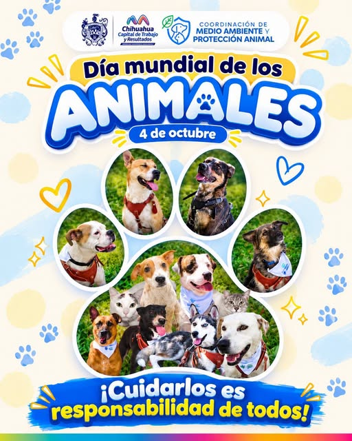 CUATRO DE OCTUBRE, DÍA MUNDIAL DE LOS ANIMALES