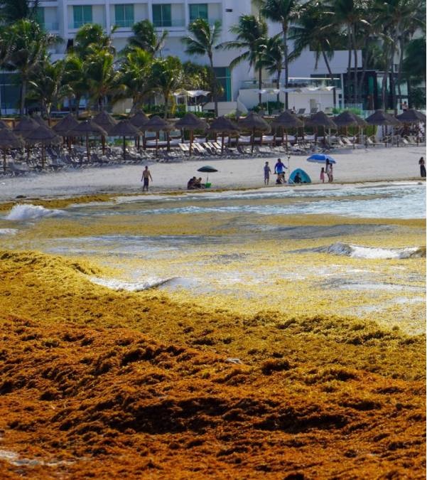 EL CARIBE MEXICANO PERDIÓ MÁS DE 553 MIL PASAJEROS ENTRE ENERO Y AGOSTO DE 2026